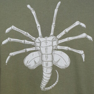 T-shirt Vert Olive Calineur